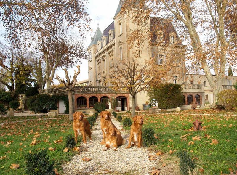 Le Mogador Chateau Du Martinet Violes Экстерьер фото